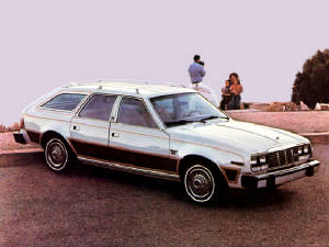 AMC_CONCORD/1981amcconcorddlwag.jpeg