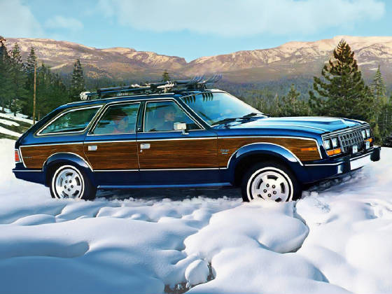 AMC_EAGLE/1985amceaglesw.jpeg