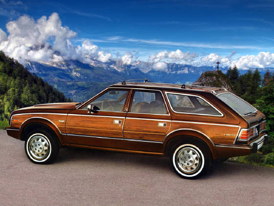 AMC_EAGLE/1985amceaglswbrn.jpeg