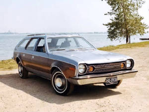 AMC_HORNET/1973amchornetsptaboutslvr.jpeg