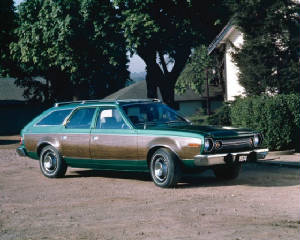 AMC_HORNET/1974amchornetsptbtgrn.jpg