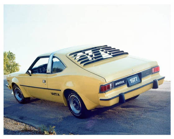 AMC_HORNET/1977amcamxhbk.jpg