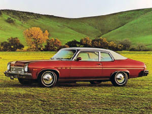 BUICK_APOLLO_SKYLARK/1973bkapollo2d.jpeg