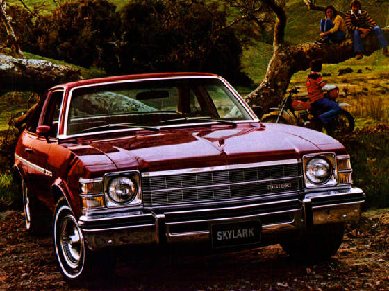 BUICK_APOLLO_SKYLARK/1976bksklkcpe.jpeg