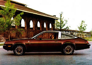 BUICK_SKYHAWK/1978bkskyhdkbrn.jpg