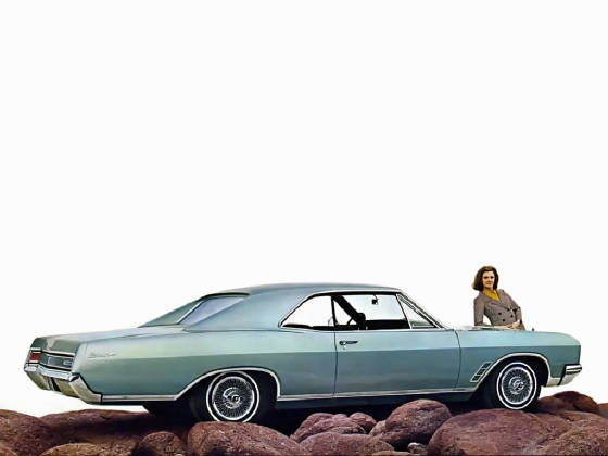 BUICK_SKYLARK/1966bkskylkhtpgrn.jpeg