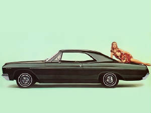 BUICK_SKYLARK/1966bkspecdxhtpdk.jpeg