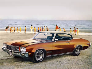 BUICK_SKYLARK/1971bkskycusthtprs.jpeg