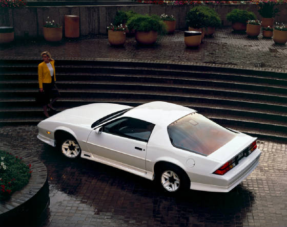 CHEV_CAMARO/1991chevcamrswte.jpg