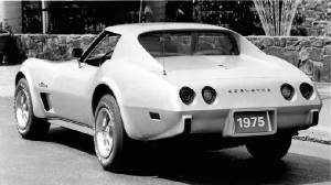 CHEV_CORVETTE/1975chevcorvetterearbnw.jpg