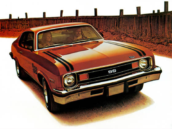 CHEV_NOVA/1974chevnovacustSScpebrnz.jpeg