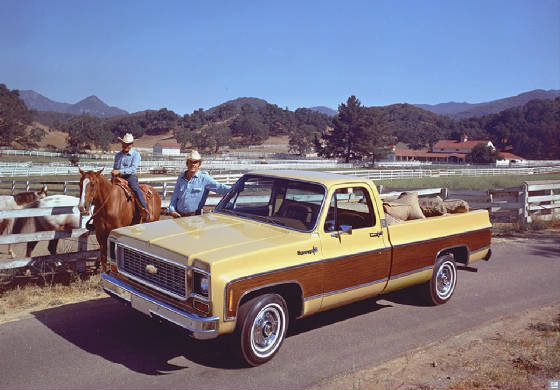 CHEV_PICKUP/1975chevC10pickup.jpg