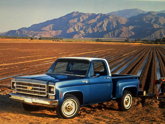 CHEV_PICKUP/1987chevC10fleetside.jpg