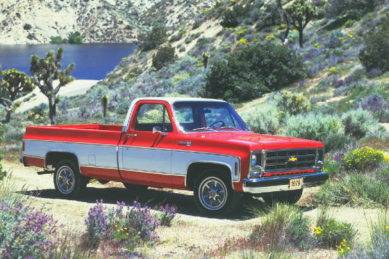 CHEV_PICKUP/1987chevC10fleetside.jpg