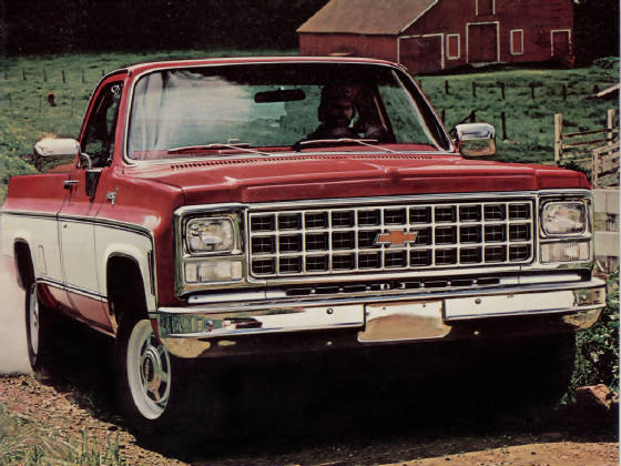 CHEV_PICKUP/1987chevC10fleetside.jpg