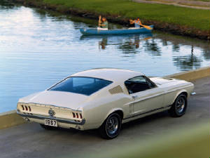 FORD_MUSTANG/1967fordmustfbwterr.jpeg