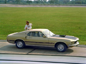 FORD_MUSTANG/1969mustangmach1champgne.jpeg