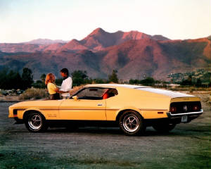 FORD_MUSTANG/1971fordmustboss351yell.jpg