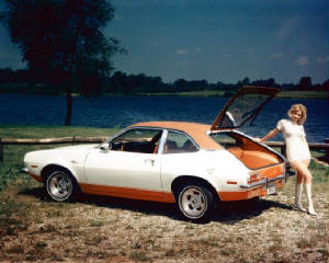 FORD_PINTO/1973frodpintorunaboutwdecor.jpg