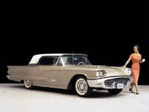 FORD_THUNDERBIRD/1959fordtbirdfawnn.jpeg