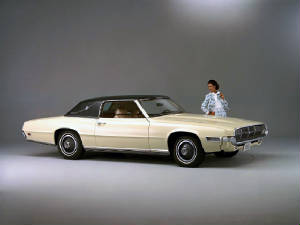 FORD_THUNDERBIRD/1969fordtbirdlandcrm.jpeg