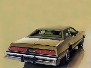 FORD_THUNDERBIRD/1974fordtbirdgold.jpeg