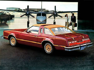 FORD_THUNDERBIRD/1978fordtbirdmrnchamois.jpeg