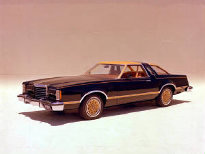 FORD_THUNDERBIRD/1978tbirddkbluchamois.jpeg