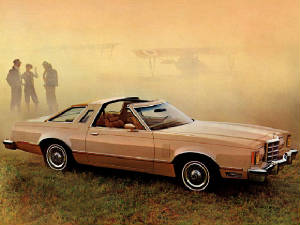 FORD_THUNDERBIRD/1979fordtbirdtan.jpeg