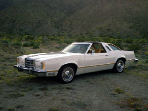 FORD_THUNDERBIRD/1979fordtbirdwtetn.jpeg