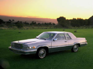 FORD_THUNDERBIRD/1980fordtbirdsilver3.jpeg