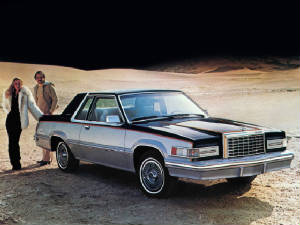 FORD_THUNDERBIRD/1982fordtbirdttsilvblk.jpeg