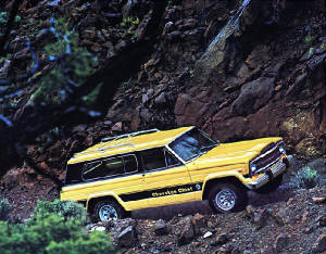 JEEP_CHEROKEE/1979jeepcherokeechief2d.jpg