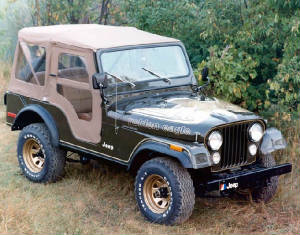 JEEP_CJ_DJ/1977jeepcj5goldeneagleedition.jpg