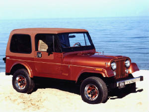 JEEP_CJ_DJ/1982jeepcj7ltdbrze.jpeg