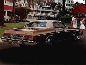 MERCURY/1973mercmontereycust4drbrn.jpeg