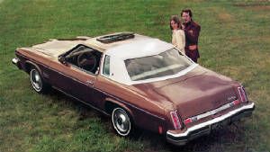 OLDSMOBILE_CUTLASS/1974oldscutsupbrown.jpg