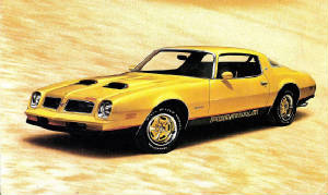 PONTIAC_FIREBIRD/1976pontfbdform.jpg