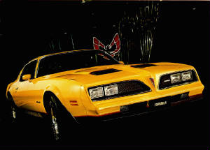 PONTIAC_FIREBIRD/1978pontfbrdform.jpg