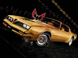 PONTIAC_FIREBIRD/1978pontfbrdse.jpeg