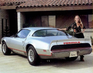 PONTIAC_FIREBIRD/1979frbdformsl.jpg