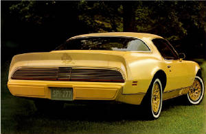 PONTIAC_FIREBIRD/1980pontfbrdyellowbd.jpg