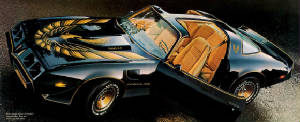 PONTIAC_FIREBIRD/1980ponttasebk.jpg