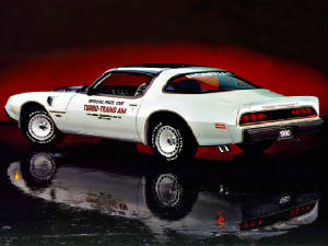 PONTIAC_FIREBIRD/1980ponttaturbopacecar.jpeg